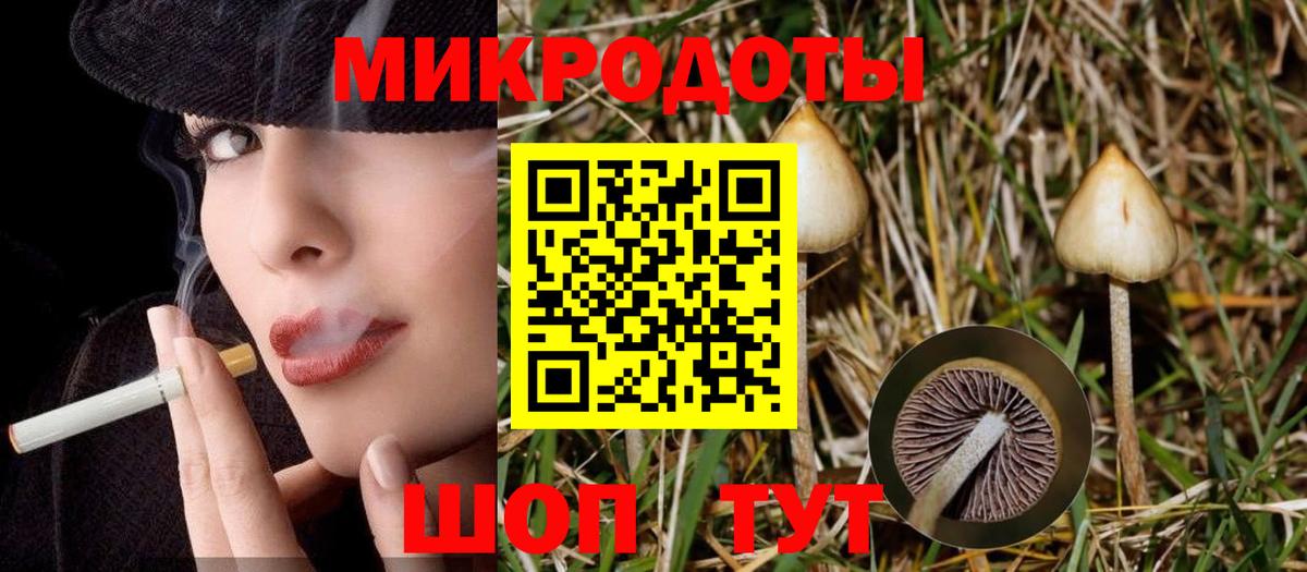 Галлюциногенные грибы прущие грибы Щёлково