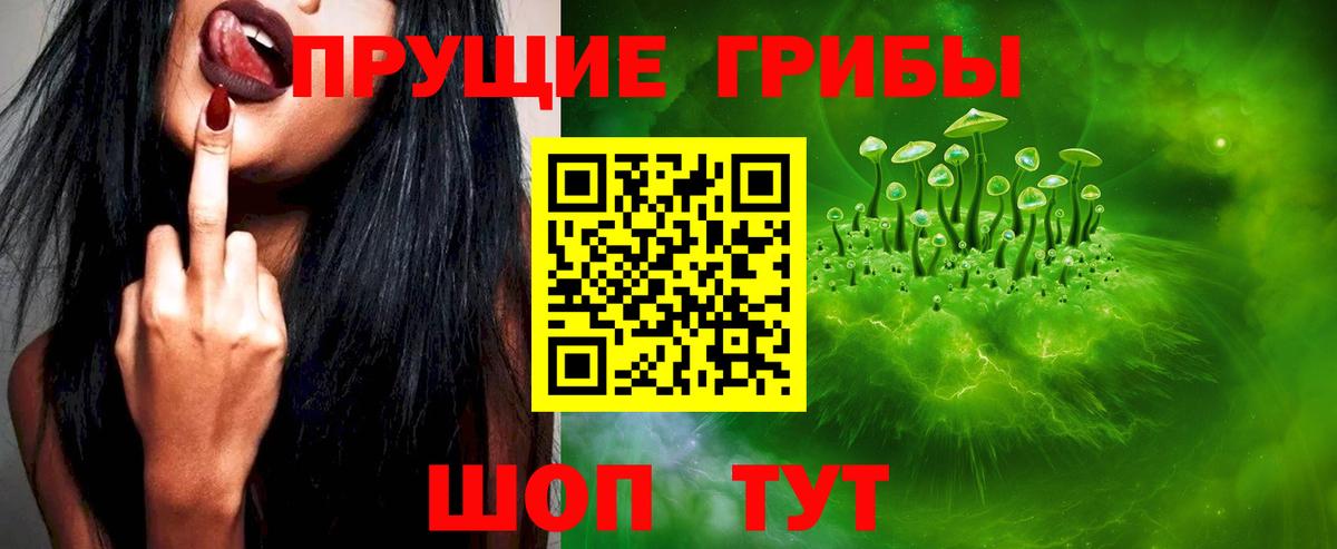 Галлюциногенные грибы Psilocybe  Вход с VPN  купить закладку  Щёлково  Галлюциногенные грибы ЛСД 